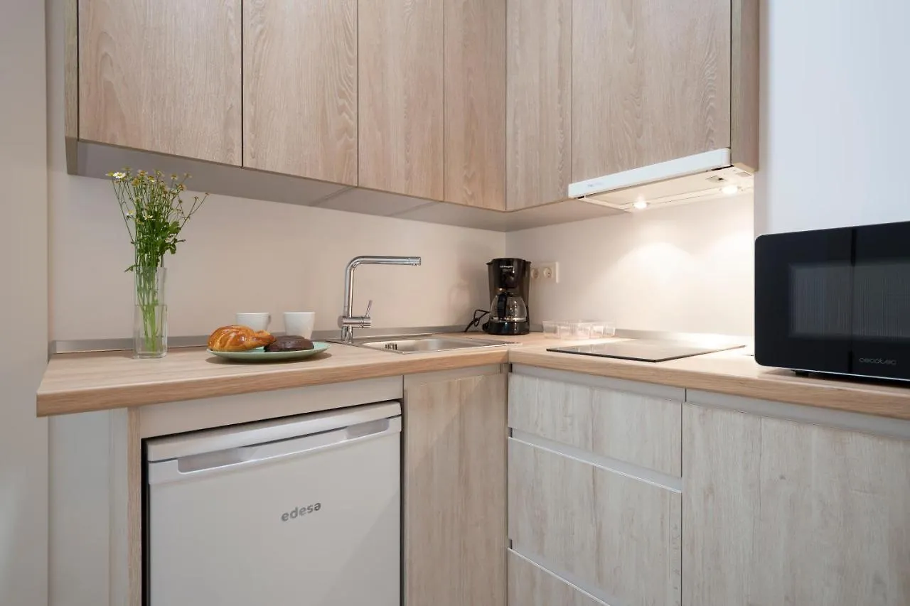 MOLINO CORTEZA PRECIOSO PRIMERO Granada Centro Apartamento